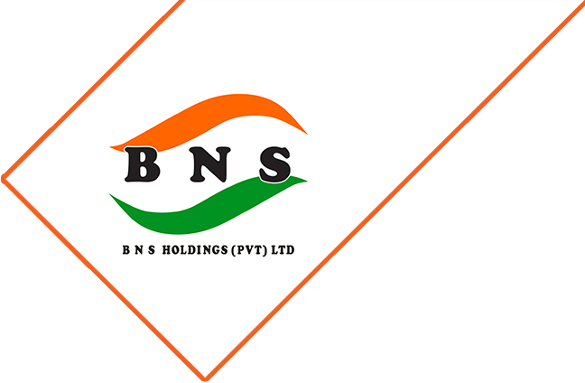 BNS Holdings (Pvt) Ltd.